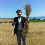 Mauro Violoni Mauro Violoni